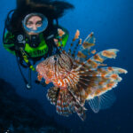 All photos attributed to Rafael Cosme Daza.