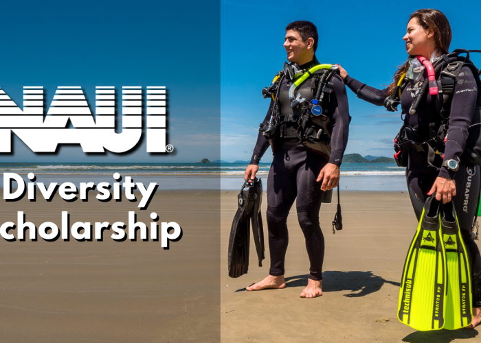 Diversity-Scholarship